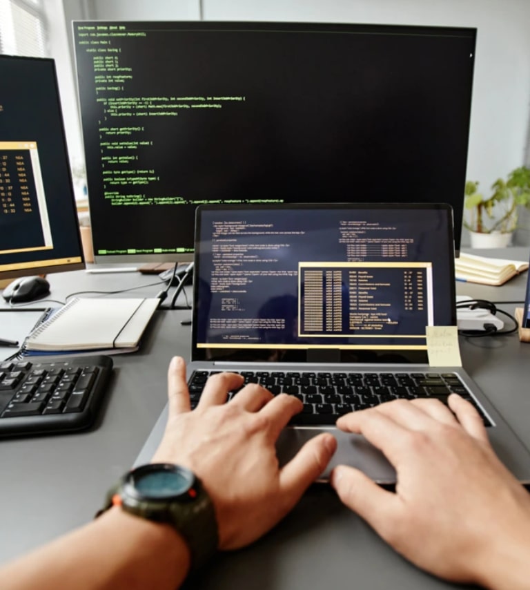 A person customizing a theme on a laptop computer screen at Ideal Webkit.